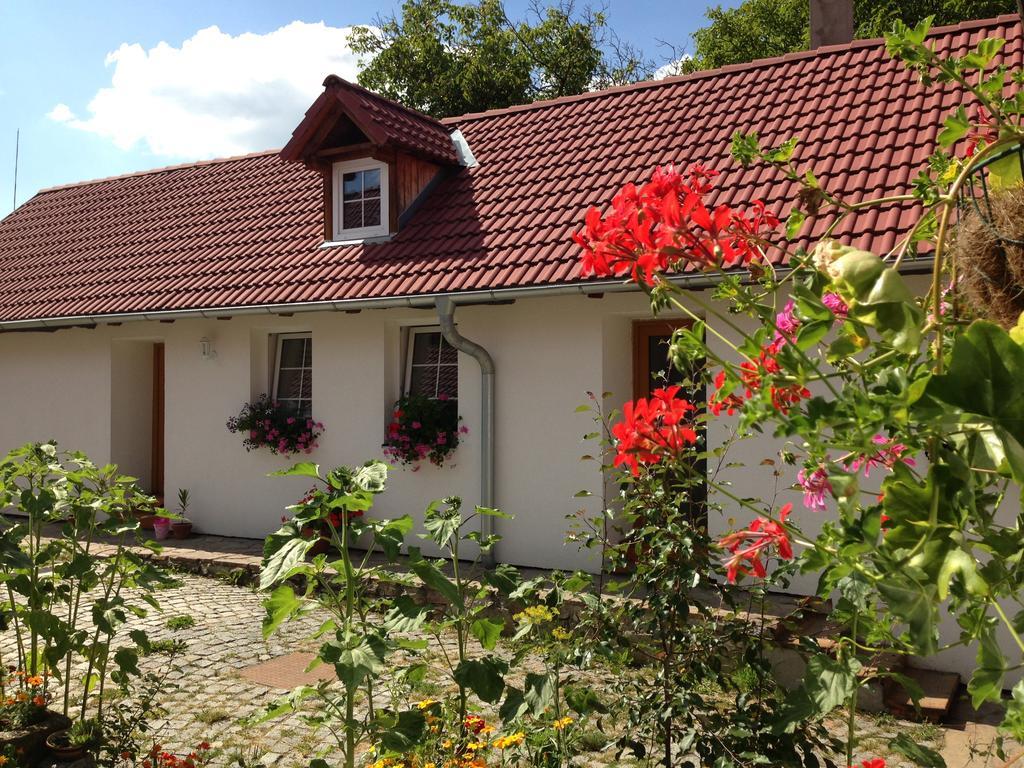 Apartmany Jílovice Exterior foto
